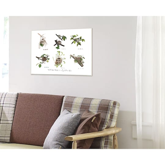 Stupell Industries Bird Nest Identification Wall Plaque
